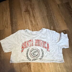 Garage Gray Santa Monica Crop Top